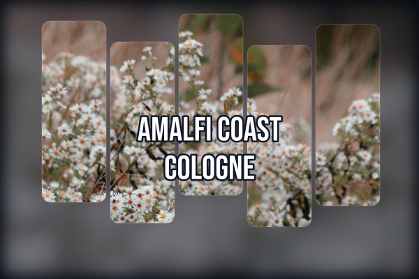 amalfi coast cologne