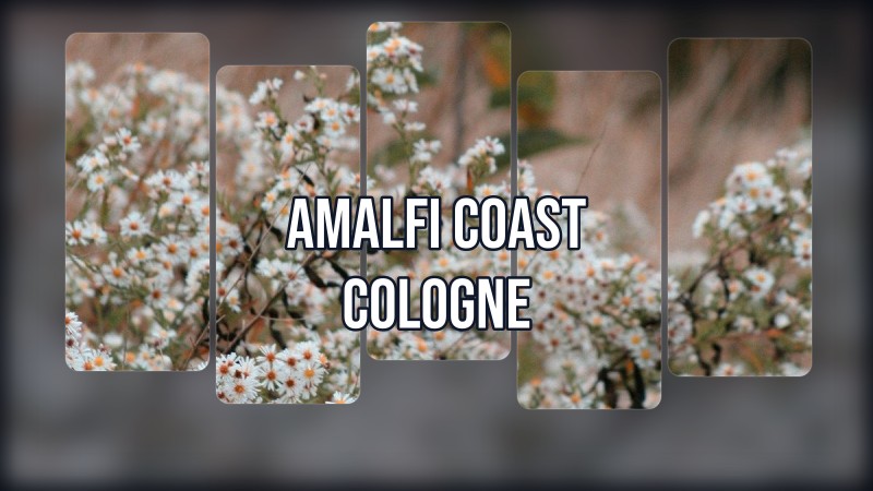 amalfi coast cologne
