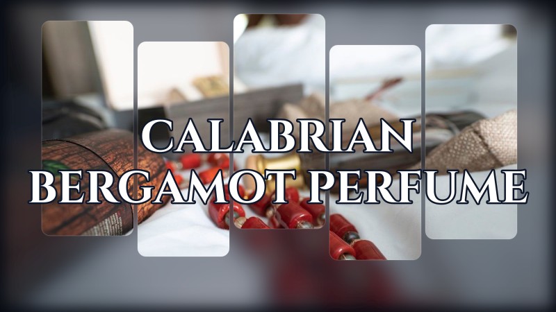 calabrian bergamot perfume