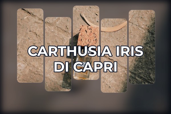 Carthusia - Iris di Capri