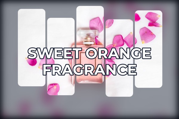 sweet orange fragrance