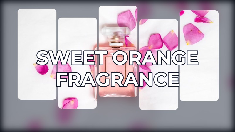 sweet orange fragrance